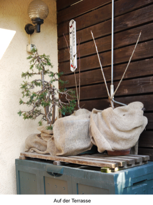Terrasse