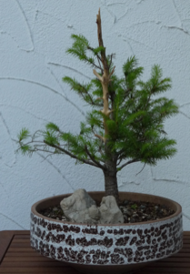 P1000160