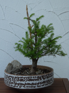 P1000161