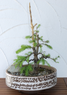 P1000166