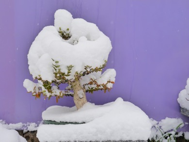 Buchs 4 April 2022 Schnee