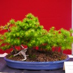 P1180201.JPG