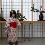 20140525-Japanfest-Eckental-36.jpg