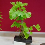B008.jpg