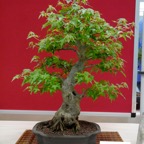 B010.jpg