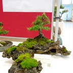 B019.jpg