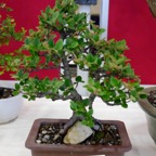 B028.jpg