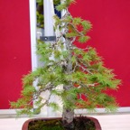 B032.jpg