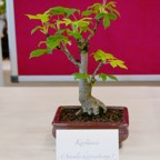 B057.jpg