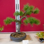 B060.jpg