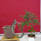 B061.jpg