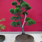 B068.jpg