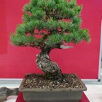 B090.jpg