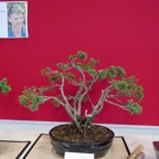 B098.jpg
