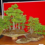 DSC05866.jpg