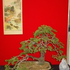 DSC05867.jpg