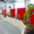 DSC05868.jpg