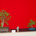 DSC05870.jpg