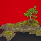 DSC05872.jpg