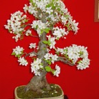 DSC05873.jpg