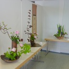 DSC05877.jpg