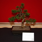 IMG_2922.JPG