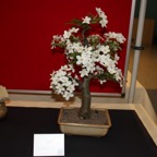 IMG_2924.JPG