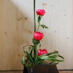 Japanfest_2010 (20 von 105).jpg