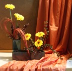 Japanfest_2010 (22 von 105).jpg