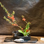 Japanfest_2010 (23 von 105).jpg