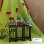 Japanfest_2010 (27 von 105).jpg