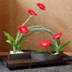 Japanfest_2010 (28 von 105).jpg