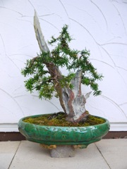 P1070191