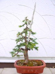 P1070201