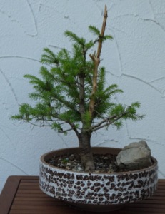 P1000159