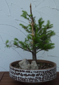 P1000160