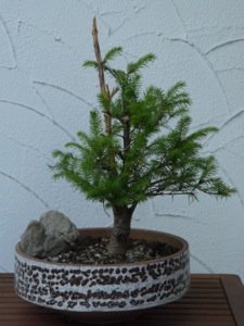 P1000161