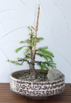 P1000164