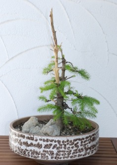 P1000165