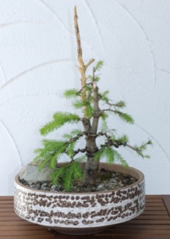 P1000166