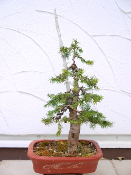 P1070200