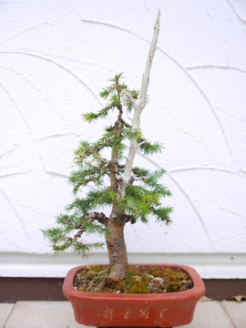 P1070201
